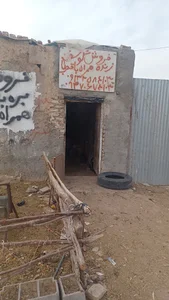 دامداری