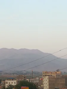 هتل هادی