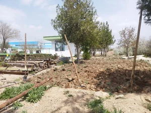 شرکت لبنیات کوهرنگ