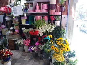 گلکده مینیاتور