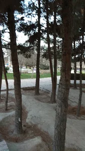 بوستان بلال