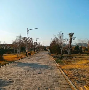 بوستان گلستان (پارک شقایق)