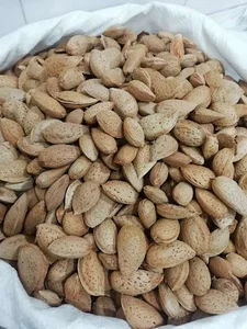 آجیل خشکبار بازرگان(مرادزاده)