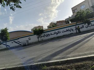 خانه تکواندو 2