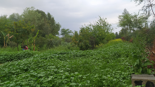 باغ رستوران سنتی نارنج
