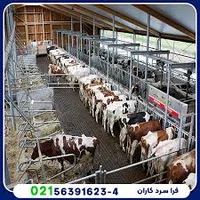 دامداری ابوالفضل خارکن