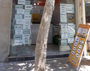 کافینت سعادتی