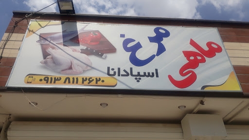 مرغ اسپادانا