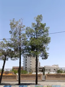 بیمارستان تخصصی و فوق تخصصی رازی 5