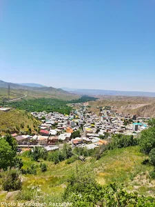 باغشهر«کیوی»