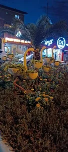 بوستان شورا 2
