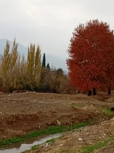 پارک زیبا کنار