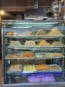 آژانس شبانه روزی سورناپیک