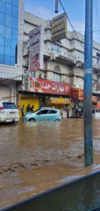 بهارات ومكسرات حدة