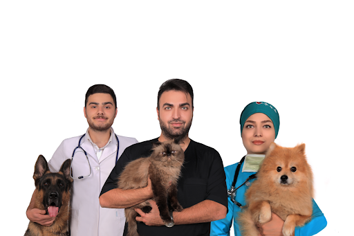 کلینیک دامپزشکی دکتر پورسیدرضا