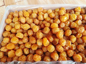 شرکت تعاونی گلبرگ آذر (خشکبار) علیحسن تقی زاده