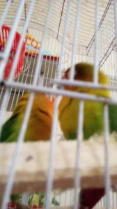فروشگاه ثامن