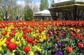 چاه کشاورزی شهید بهشتی
