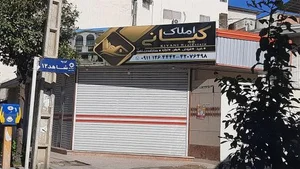 املاک کیانی