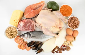 دنیای پروتئین رجائیان