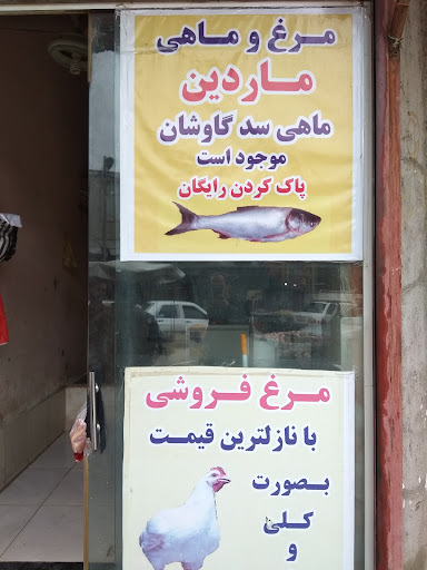 مرغ فروشی ماردین