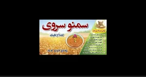 سمنو سروی