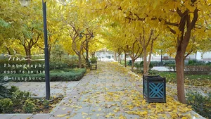 بوستان سلامت