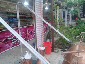 رز گلاب