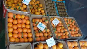 بازارروز میوه فروشان