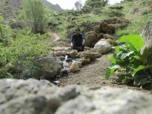 چشمه سه