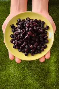 خشکولاتkhoshkoolat