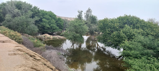 دره ستارگان