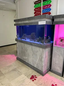 بیمارستان دامپزشکی ابوریحان 2