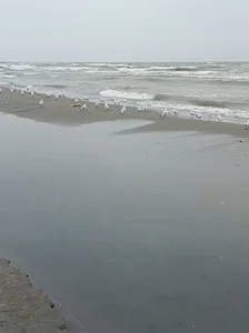 بوستان ساحلی سبز میدان