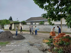 اولین تولید کننده دانه مرغی