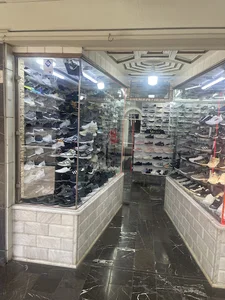 کفش ورزشی لایگر
