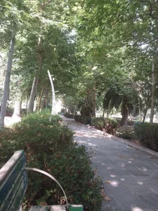بوستان زنده یاد دامادی 5