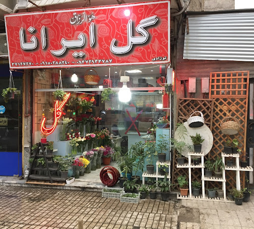 گل ایرانا