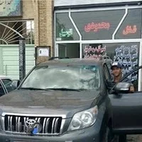 قفل سازی فیاض ، صداگیری اتومبيل