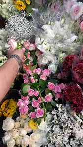 گل سرا نیاوران