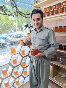 عسل و محصولات ارگانیک هالێن