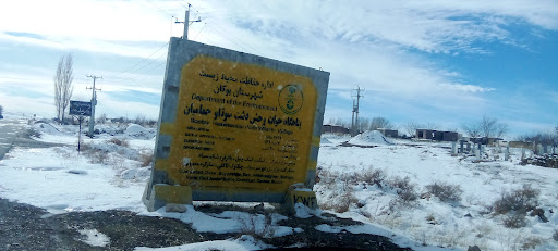 شاخی قەرەوڵخانە