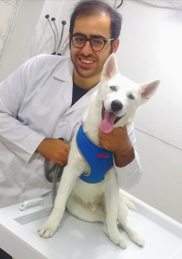 کلینیک دامپزشکی دکتر مکی پور