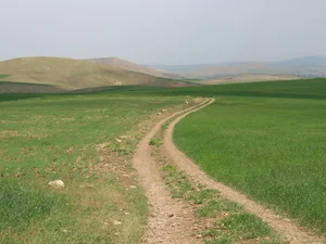 پناهگاه حیات وحش دشت سوتاو حمامیان