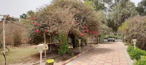 کتابخانه شهید رجایی 5