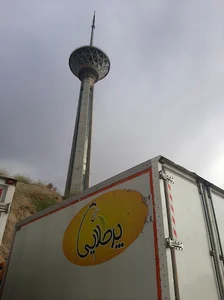فروشگاه تخم مرغ