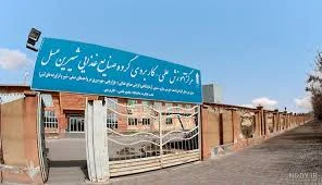 شرکت شیرین عسل