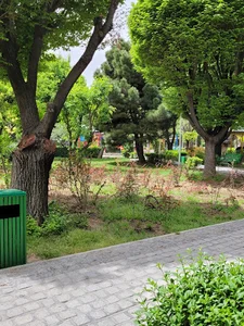 بوستان سید جمال الدین اسدآبادی