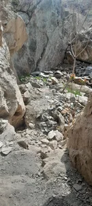 غار پروانه ها 2
