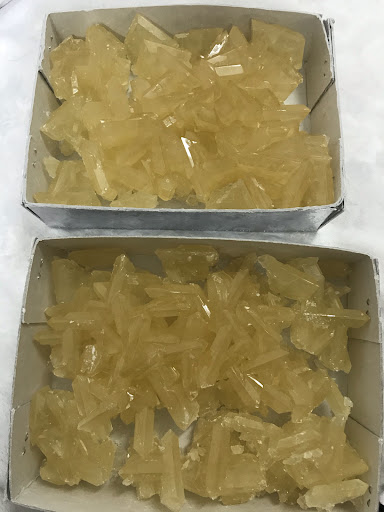 نبات ریزی حق جو